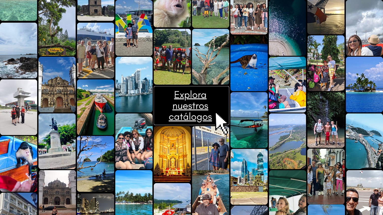 Link-catalogues-tours