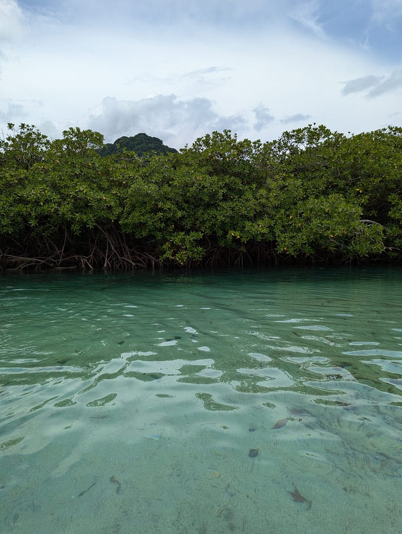 Tour a Isla Grande - Imagen 15